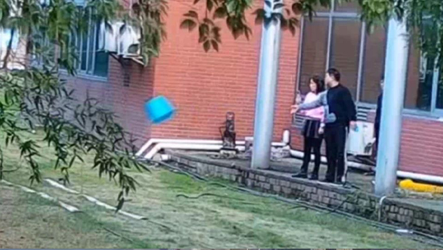 用數(shù)據(jù)說(shuō)話，風(fēng)雨小動(dòng)物不誤報(bào)！