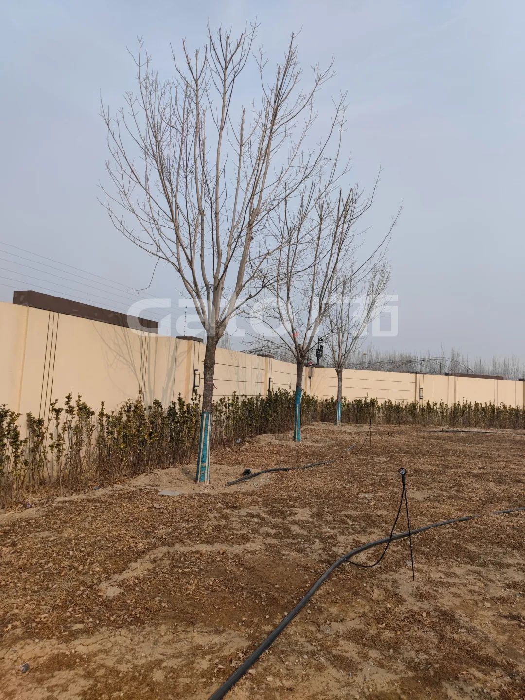 國家建筑節(jié)能技術(shù)國際創(chuàng)新園投產(chǎn)，廣拓G5s守護(hù)周界安全(圖8)