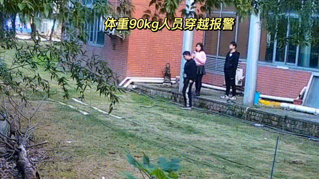 用數(shù)據(jù)說話，風(fēng)雨小動(dòng)物不誤報(bào)！(圖4)