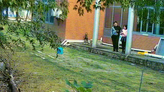 用數(shù)據(jù)說話，風(fēng)雨小動(dòng)物不誤報(bào)！(圖6)