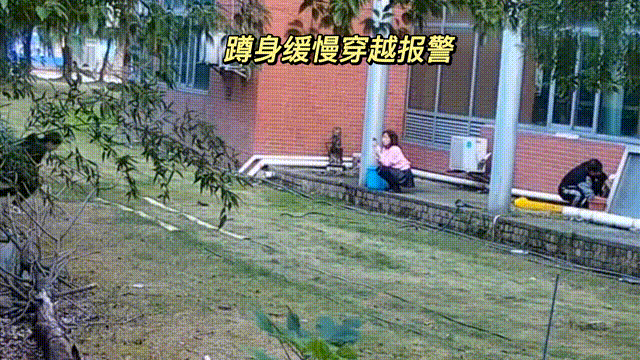 用數(shù)據(jù)說話，風(fēng)雨小動(dòng)物不誤報(bào)！(圖9)