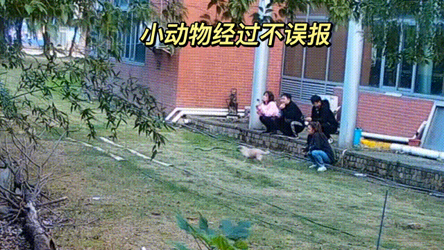 用數(shù)據(jù)說話，風(fēng)雨小動(dòng)物不誤報(bào)！(圖13)