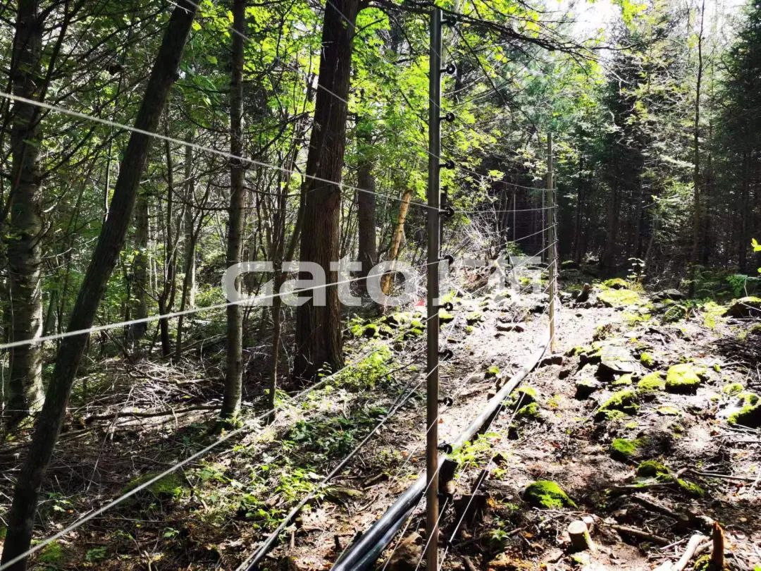 上過央視的省級礦泉水保護區(qū)，廣拓G5S安防就位！(圖9)