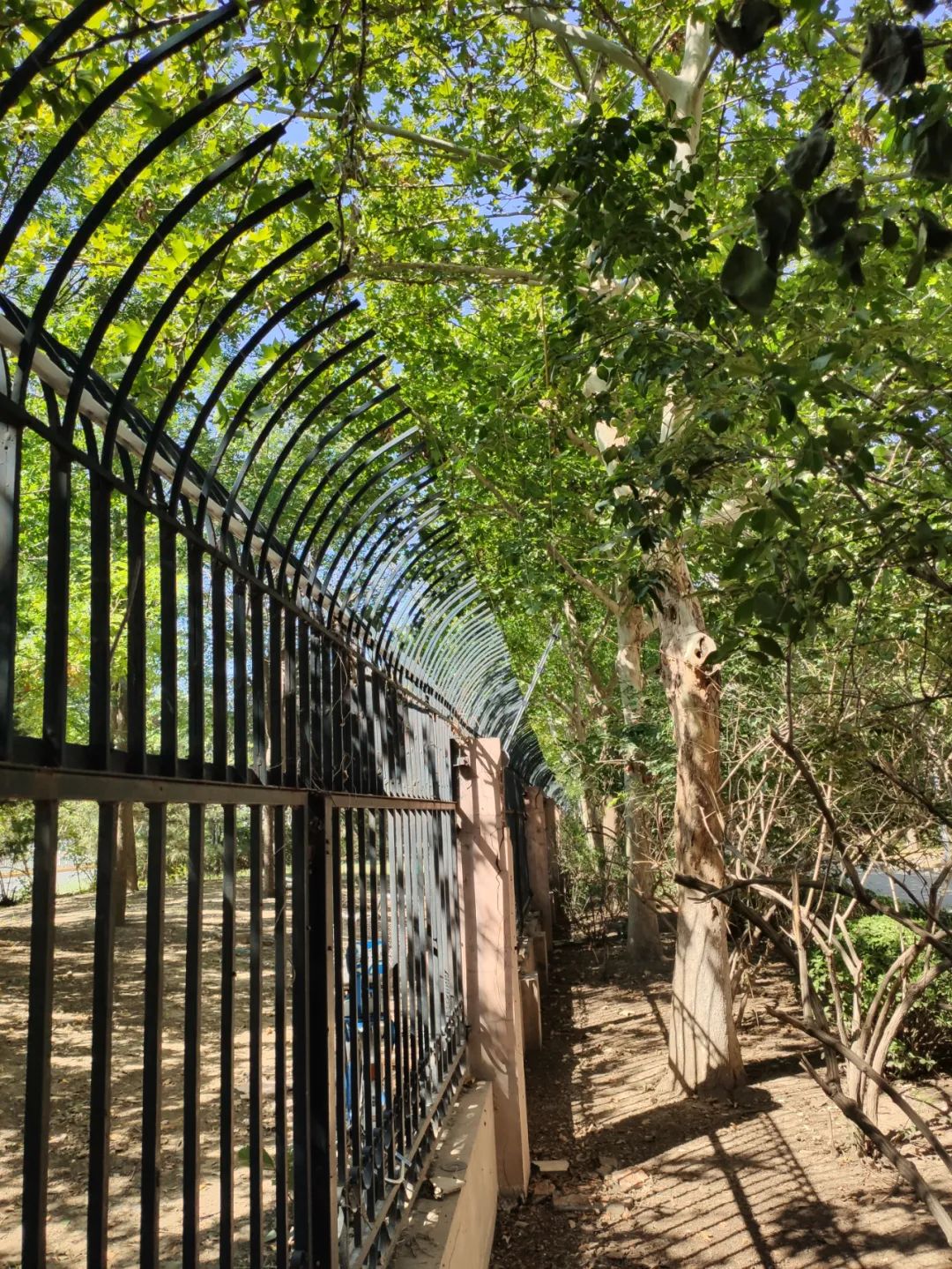 開學(xué)季！廣拓給孩子們最好的禮物是安全！(圖10)