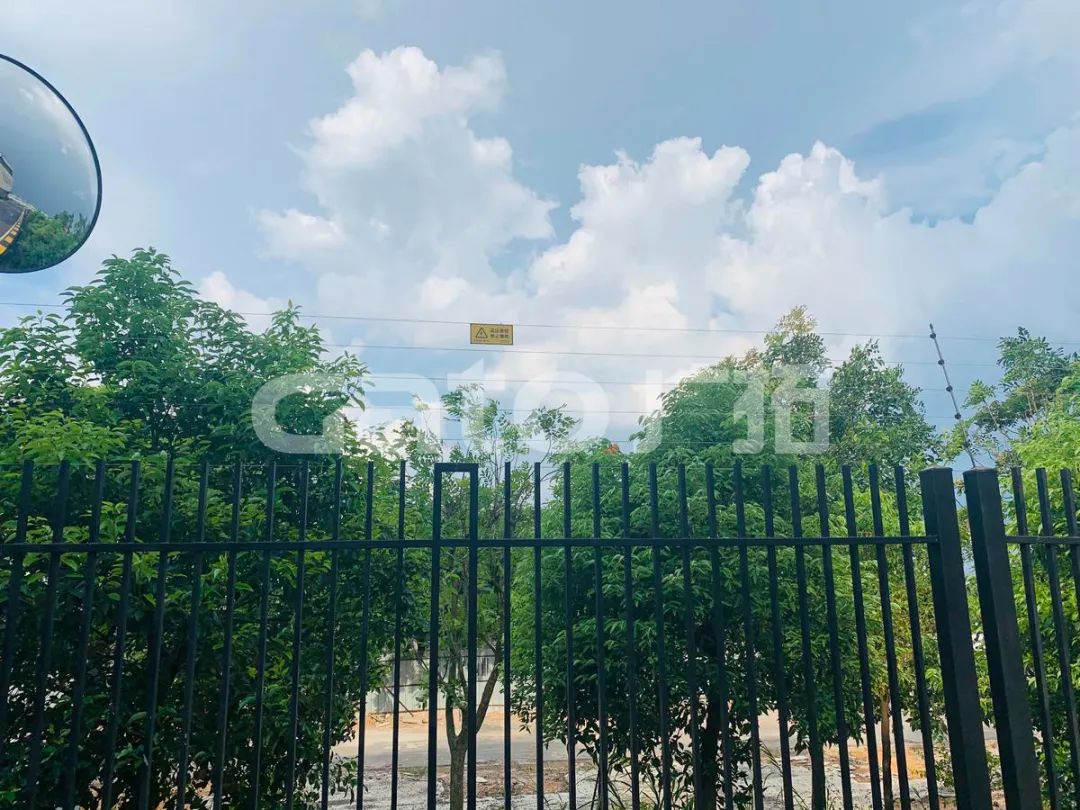 在2021年結(jié)束前，這53個廣拓下半年經(jīng)典案例推薦你看……(圖15)