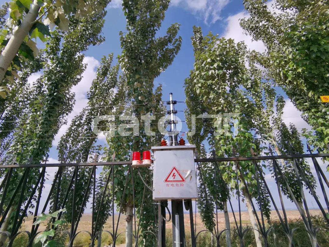 在2021年結(jié)束前，這53個廣拓下半年經(jīng)典案例推薦你看……(圖33)