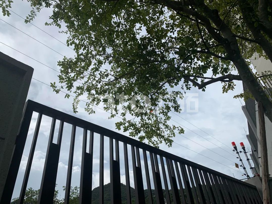 在2021年結(jié)束前，這53個廣拓下半年經(jīng)典案例推薦你看……(圖34)