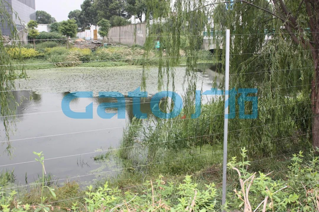 一文解鎖15種電子圍欄特殊安裝場(chǎng)景！(圖32)