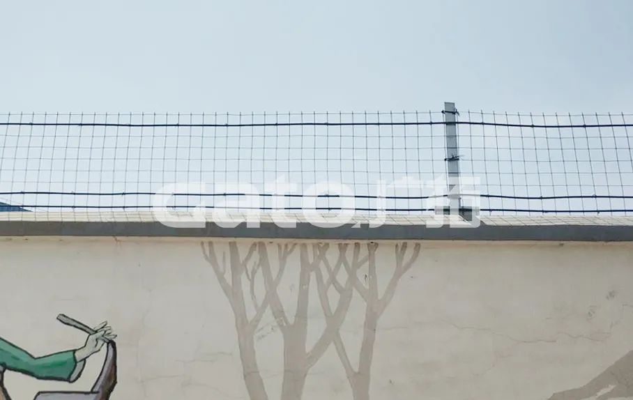 干貨|太全了，振動光纖7大場景的安裝方式圖文詳解！(圖14)