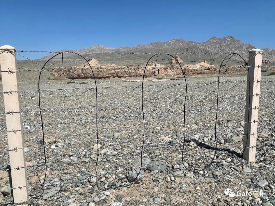 2021進(jìn)度條已過(guò)半，速速圍觀廣拓上半年精選案例！(圖8)