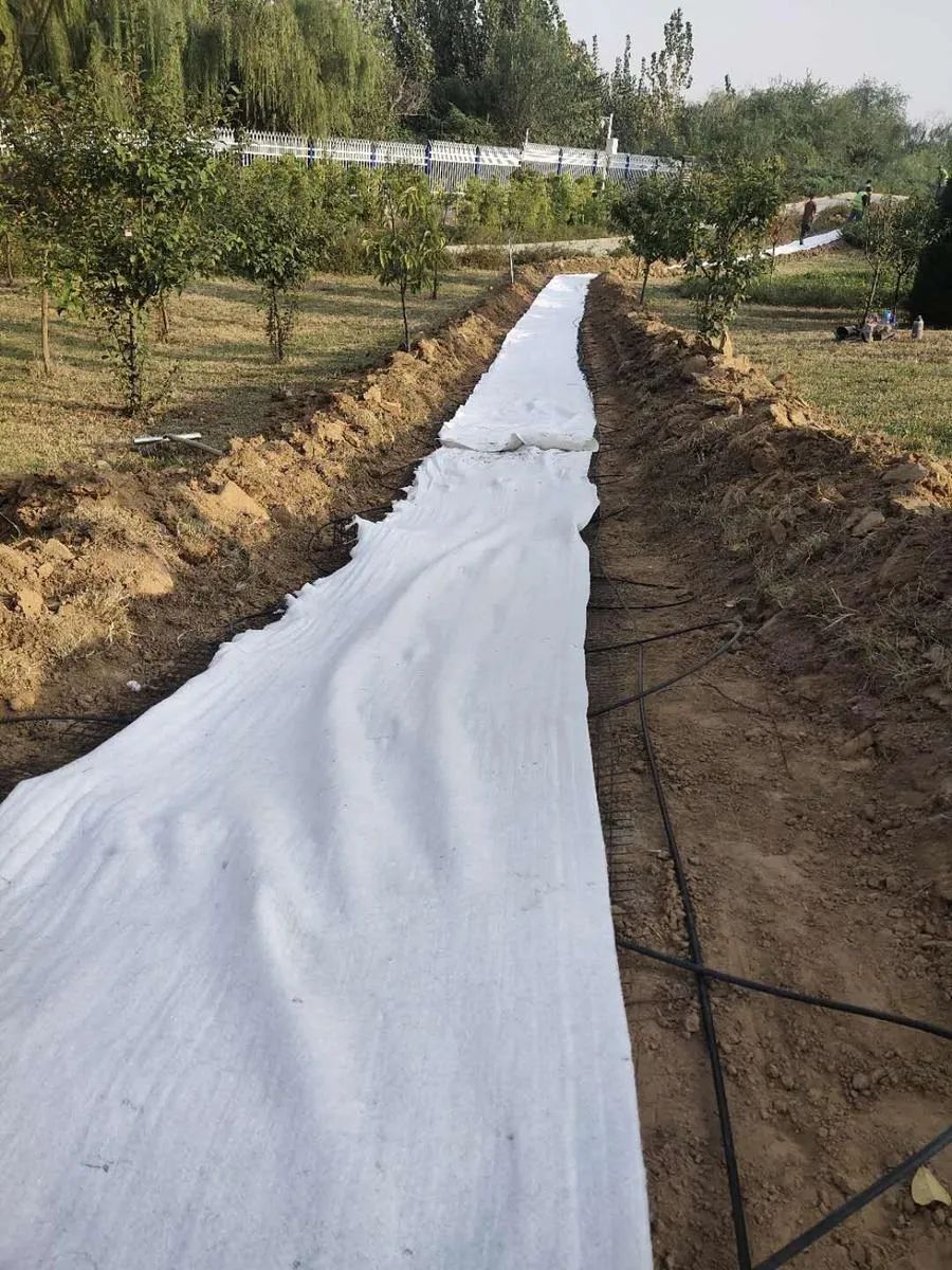 穿越回殷商王朝？15萬片甲骨的安全我來守護(hù)！(圖5)