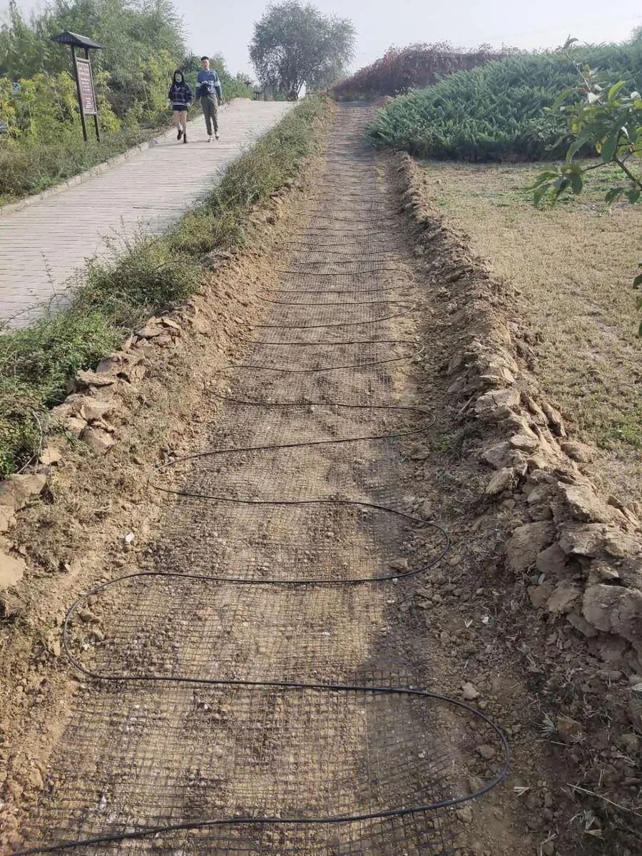 穿越回殷商王朝？15萬片甲骨的安全我來守護(hù)！(圖6)