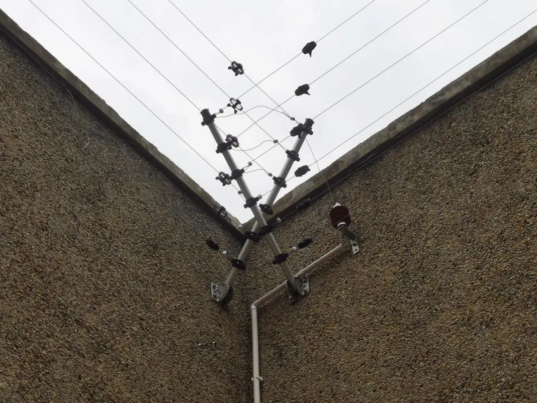 穿越回殷商王朝？15萬片甲骨的安全我來守護(hù)！(圖9)